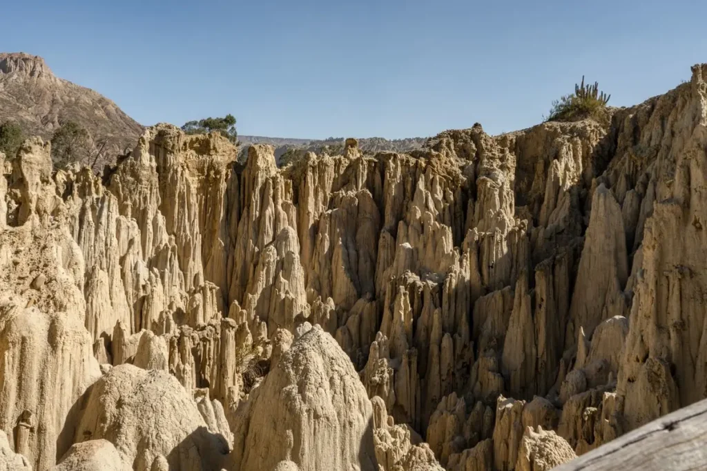 Aéreo o terrestre: qué vía elegir para tu envío a Bolivia
